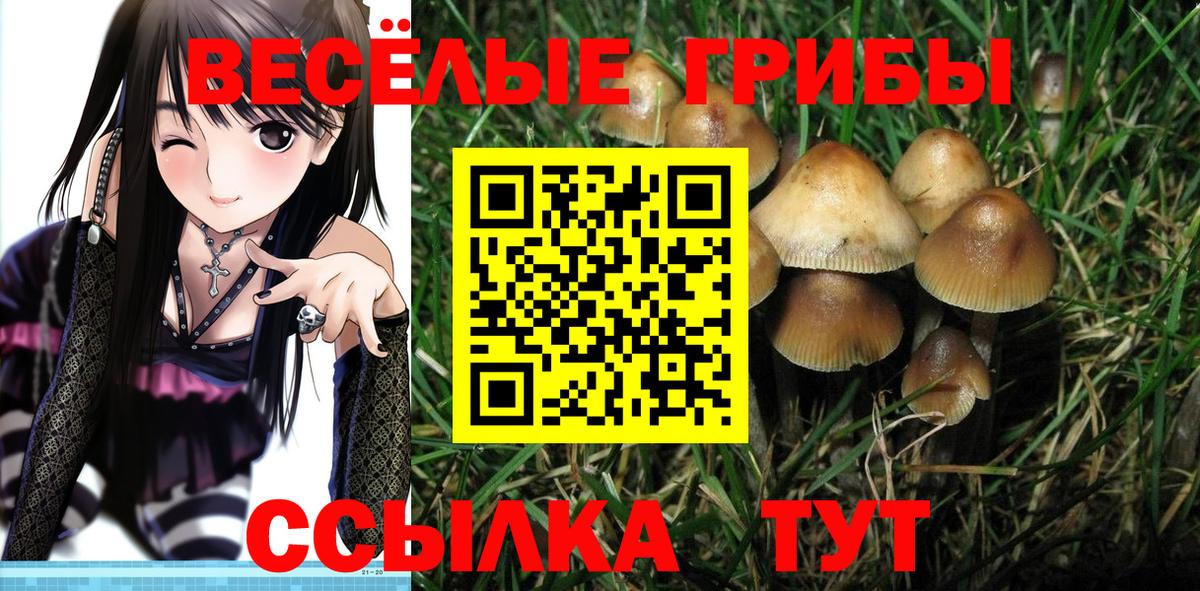 Артёмовский  Галлюциногенные грибы Psilocybine cubensis  Галлюциногенные грибы ЛСД  Вход с VPN 