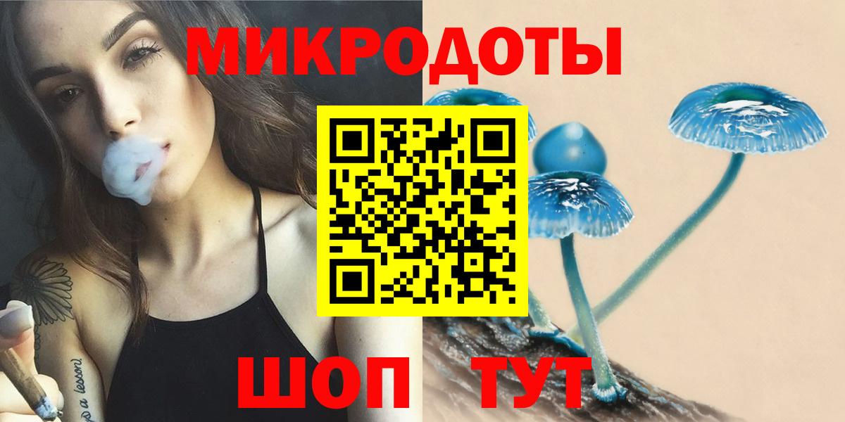 Псилоцибиновые грибы прущие грибы  Галлюциногенные грибы Cubensis  Артёмовский 