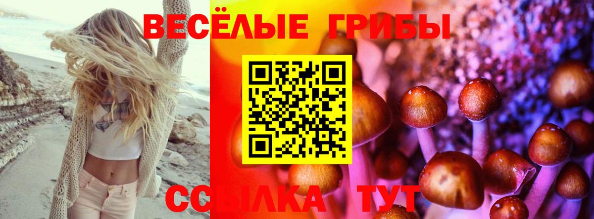 Псилоцибиновые грибы ЛСД Артёмовский